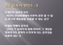 인터넷 게임중독의 문제점과 현실태 및 대응방안 13페이지