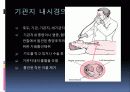기관지 내시경 검사 3페이지