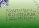 참소주 마케팅 3페이지