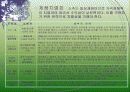 참소주 마케팅 7페이지