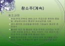 참소주 마케팅 10페이지