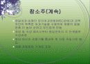 참소주 마케팅 11페이지