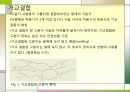 PVP 폴리비닐피롤리돈(poly vinyl pyrrolidone) PVA 폴리비닐 알코올(Polyvinyl alcohol) 5페이지