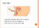 성교육(2차성징) 13페이지
