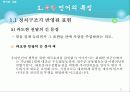 남북한언어의 통일방안 12페이지
