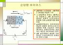 [전자회로실험] 접합, 제너 다이오드 특성 발표자료입니다. 7페이지