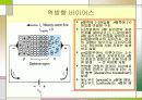 [전자회로실험] 접합, 제너 다이오드 특성 발표자료입니다. 8페이지