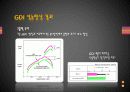 GDI 엔진에 대하여 21페이지