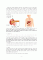 췌장암(이자암) 레포트 2페이지
