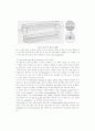 전기영동 (electrophoresis) 6페이지