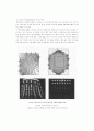 전기영동 (electrophoresis) 9페이지