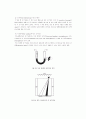 전기영동 (electrophoresis) 12페이지