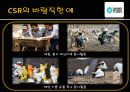 기업의 사회적 책임 24페이지