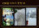 기업의 사회적 책임 29페이지