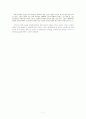 이슬람의 정치관 7페이지