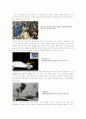 역설계(Reverse Engineering)의 현재와 미래 5페이지