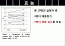 차전자피의 효능 및 제조기준과 규격 특징 군내외 제품 현황 10페이지