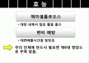 차전자피의 효능 및 제조기준과 규격 특징 군내외 제품 현황 12페이지