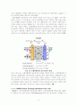 연료전지실험 10페이지