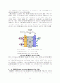 연료전지실험 연료전지DMFC실험 10페이지