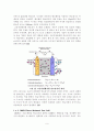 연료전지실험 연료전지DMFC실험 11페이지