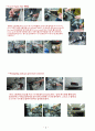 Laser Ablation of a Graphite Target in a N2 Atmosphere and Pulsed Laser Deposition (PLD) Process 결과보고서 2페이지