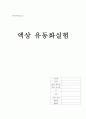 액상 유동화 실험 1페이지