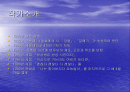 천상병 시인의 새와 귀천을 통하여 시인론 분석(발표 ppt 자료) 2페이지