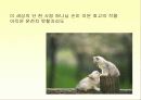egogram - okgram 파워포인트 자료 13페이지