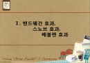 커피 문화 속의 소비자 심리 및 마케팅 요소 - 스타벅스와 맥카페를 중심으로 3페이지