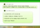 옥상녹화에 대하여 4페이지