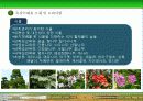 옥상녹화에 대하여 8페이지