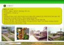 옥상녹화에 대하여 14페이지