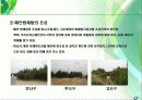해안방제림 7페이지