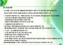 해안방제림 8페이지