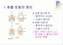 생물- 호흡에 관한 발표 자료 ppt 3페이지