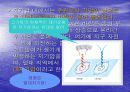 태풍에 관한 레포트 - 조사자료 ppt 6페이지