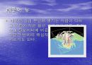태풍에 관한 레포트 - 조사자료 ppt 7페이지