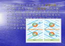 태풍에 관한 레포트 - 조사자료 ppt 14페이지