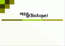 비오톱(Biotope)의 역할 및 효과 조성시 고려할점 조성사례 문제점 및 발전방향  1페이지