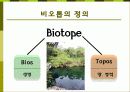 비오톱(Biotope)의 역할 및 효과 조성시 고려할점 조성사례 문제점 및 발전방향  3페이지