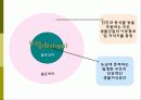 비오톱(Biotope)의 역할 및 효과 조성시 고려할점 조성사례 문제점 및 발전방향  4페이지