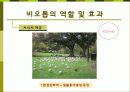 비오톱(Biotope)의 역할 및 효과 조성시 고려할점 조성사례 문제점 및 발전방향  5페이지