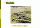 비오톱(Biotope)의 역할 및 효과 조성시 고려할점 조성사례 문제점 및 발전방향  7페이지
