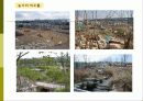 비오톱(Biotope)의 역할 및 효과 조성시 고려할점 조성사례 문제점 및 발전방향  15페이지