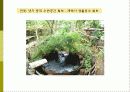 비오톱(Biotope)의 역할 및 효과 조성시 고려할점 조성사례 문제점 및 발전방향  20페이지