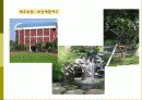비오톱(Biotope)의 역할 및 효과 조성시 고려할점 조성사례 문제점 및 발전방향  21페이지