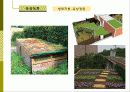 비오톱(Biotope)의 역할 및 효과 조성시 고려할점 조성사례 문제점 및 발전방향  23페이지