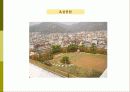 비오톱(Biotope)의 역할 및 효과 조성시 고려할점 조성사례 문제점 및 발전방향  24페이지