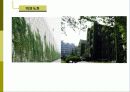 비오톱(Biotope)의 역할 및 효과 조성시 고려할점 조성사례 문제점 및 발전방향  25페이지